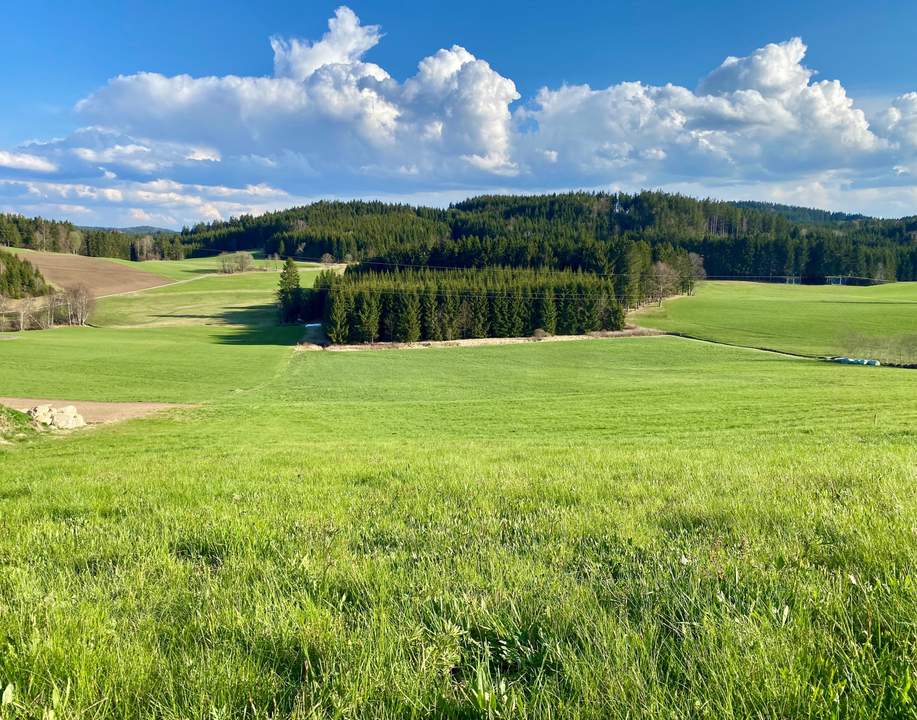 Baugrund in Dorfrandlage
