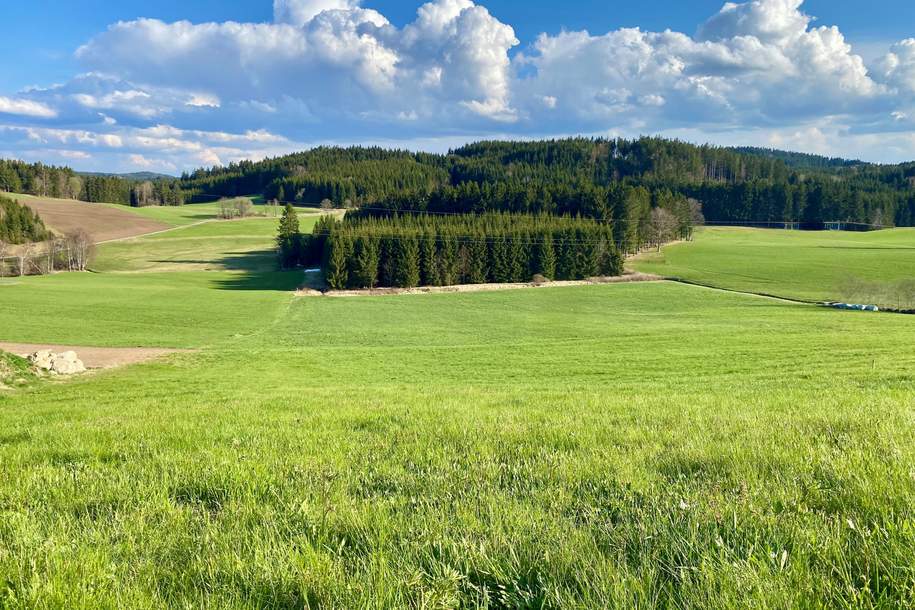 Baugrund in Dorfrandlage, Grund und Boden-kauf, 46.000,€, 4252 Freistadt