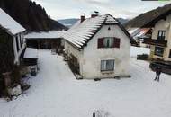 SANIERUNG 2025: Geräumiges Einfamilienhaus mit angeschlossener Kleinlandwirtschaft (Neben- und Stallgebäude) mit ca. 2.700 m² Grund
