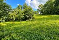 Traumhaftes Baugrundstück in Reauz – 2121m² für Ihr Eigenheim!