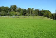 Hübsche, landwirtschaftliche Wiese mit kleinem Wald - KEIN Baugrund !!!