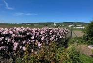 Provisionsfreier Familientraum mit atemberaubendem Fernblick (Provisionsfrei)