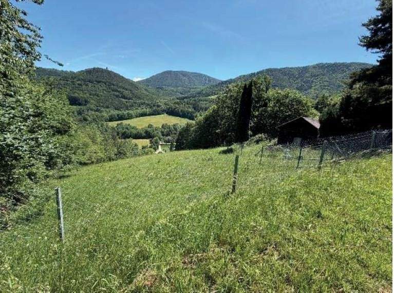 "Wald und Grünland!"
