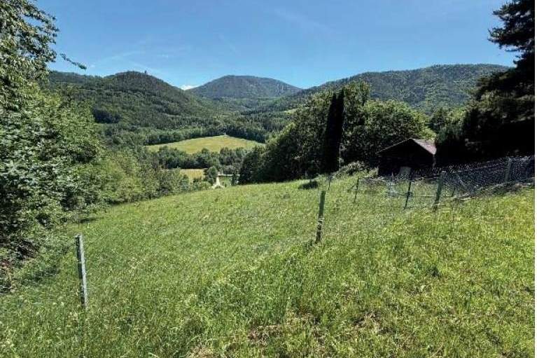 "Wald und Grünland!", Gewerbeobjekt-kauf, 6.000,€, 2640 Neunkirchen