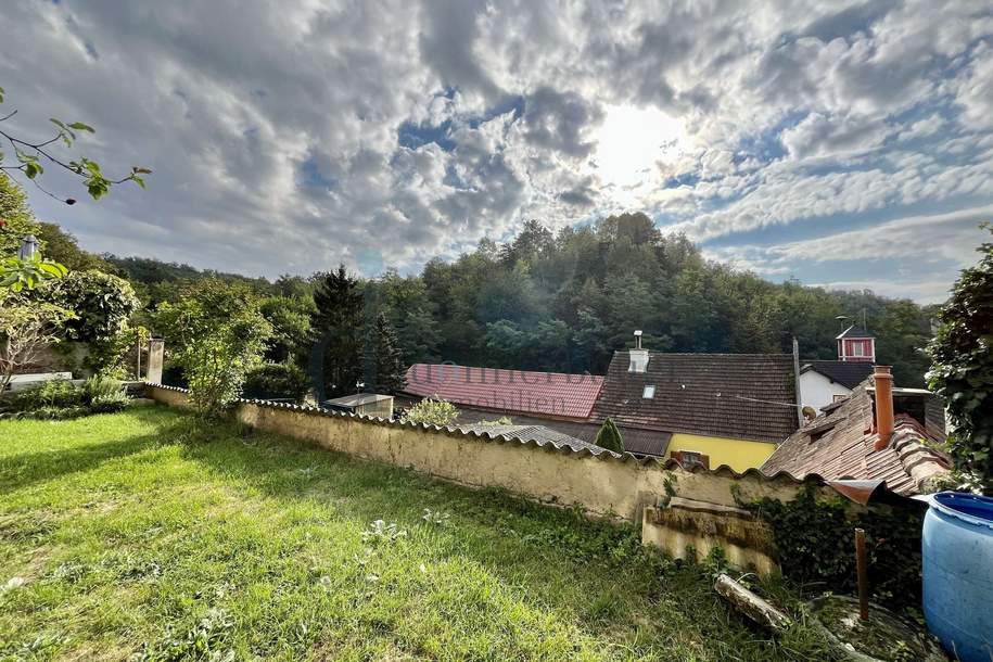 Hochwasser sicher im Kamptal, Einfamilienhaus mit großer Terrasse und Garten über dem Dach!!, Haus-kauf, 170.000,€, 3571 Horn