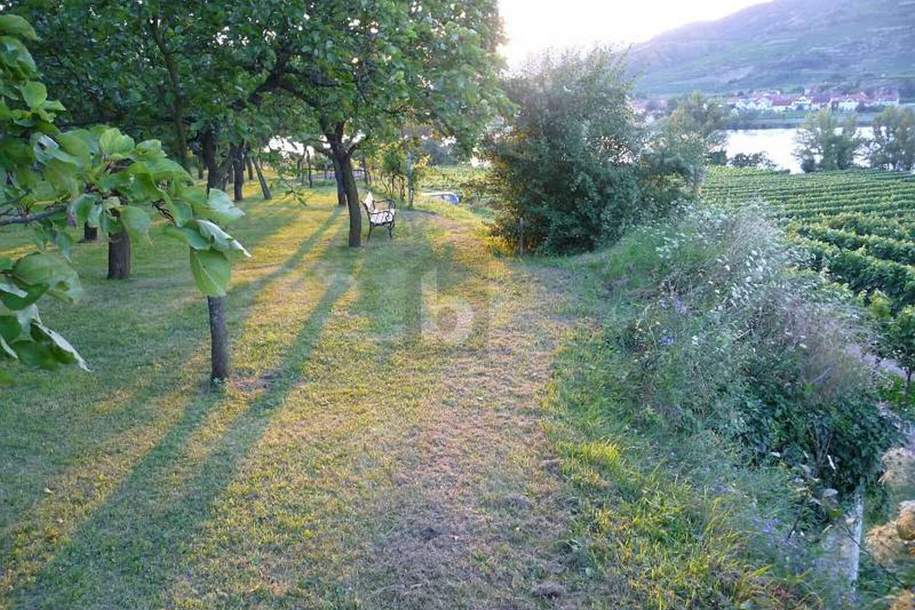 WACHAUER MARILLENGARTEN, Grund und Boden-kauf, 95.000,€, 3512 Krems(Land)