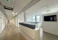 Hochwertige Bürofläche samt großzügiger Terrasse an der Brigittenauer Lände