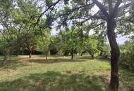 ,,Bauland und großer Obstgarten - Liegenschaft in Hornstein nahe Neufeldersee,,