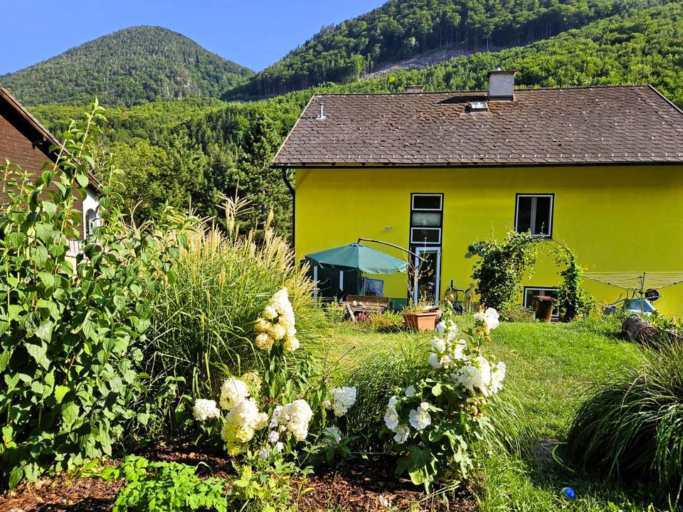 Familienresidenz im Grünen! Platz für Hund und Katz und Spatz!