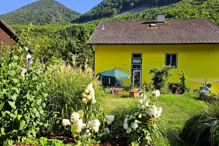 Familienresidenz im Grünen! Platz für Hund und Katz und Spatz!, Haus-kauf, 397.000,€, 2640 Neunkirchen