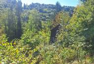 Traumhaftes Baugrundstück in Kranachberg bei Gamlitz – Ihr Platz an der Sonne