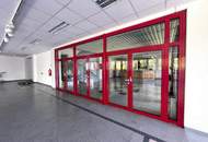 EG Showroom mitten im Industriezentrum unweit von Inzersdorf zu mieten