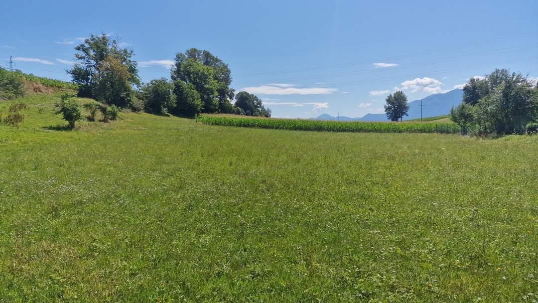 Traumhaftes, ca. 3.109 m² großes Baugrundstück mit Blick auf die Karawanken im Bezirk Völkermarkt
