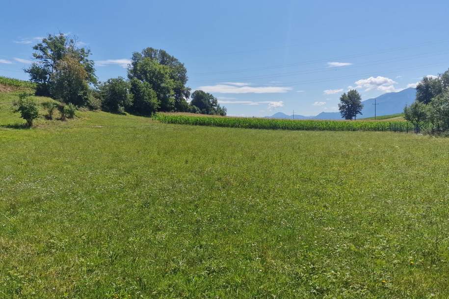 Traumhaftes, ca. 3.109 m² großes Baugrundstück mit Blick auf die Karawanken im Bezirk Völkermarkt, Grund und Boden-kauf, 184.000,€, 9100 Völkermarkt