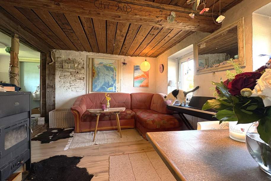 Außergewöhnliches Sacherl in Sierning – eine seltene Gelegenheit, Haus-kauf, 85.000,€, 4522 Steyr-Land
