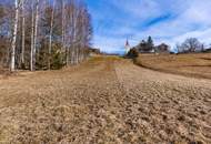 Großzügiges Baugrundstück im Waldviertel – Bauen Sie sich Ihr eigenes Wohnparadies!