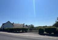 Viel Platz, viele Möglichkeiten, großes Grundstück!