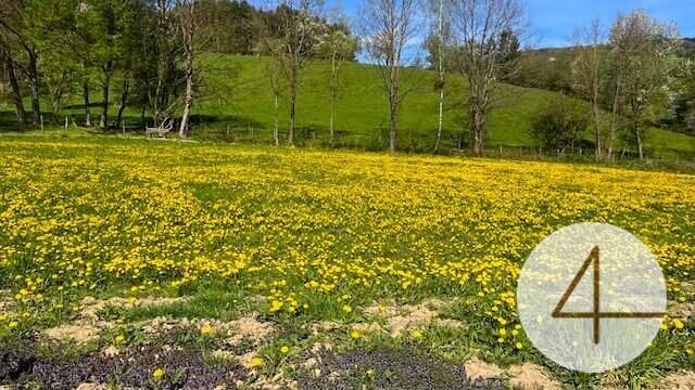 Apfelblüte im Mostviertel - Baugründe in wunderschöner, sonniger Lage!