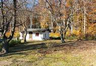 LANDHAUS MIT GROSSEM, SONNIGEN GRUND AM WALDRAND