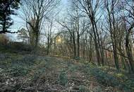 1170 / Idyllisches GRUNDSTÜCK (KLG) Eselstiege