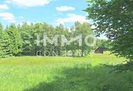 Großes Grundstück mit Fischteich und Badeteich, Erholungsanlage, Freizeitparadies mit viel Potenzial