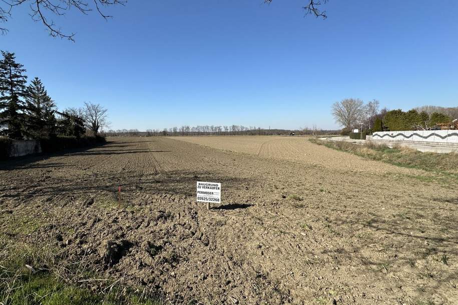 Baugrund am Ortsrand zu verkaufen, Grund und Boden-kauf, 158.775,€, 7201 Mattersburg