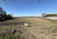 Baugrund am Ortsrand zu verkaufen