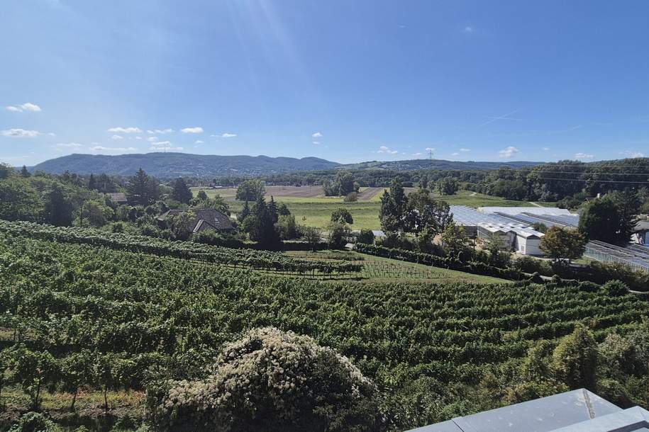 Helles Reihenhaus mit Fernblick und 2 Stellplätzen, Haus-miete, 2.525,36,€, 2102 Korneuburg