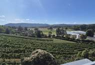 Helles Reihenhaus mit Fernblick und 2 Stellplätzen