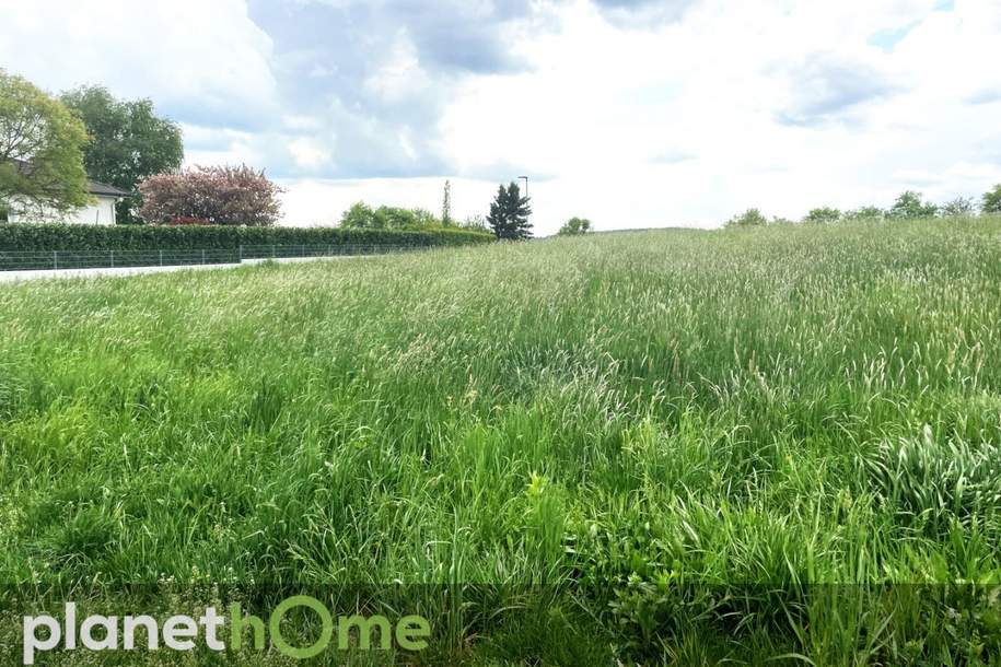 Baugrund in Oberwart - Ruhige Lage mit Fernblick!, Grund und Boden-kauf, 139.000,€, 7400 Oberwart