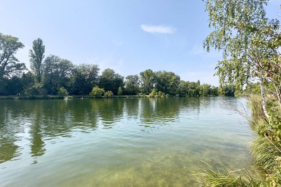 Baugrundstück mit Potenzial in bester Lage ! 150m zum Mühlwasser und Lobau, Grund und Boden-kauf, 899.000,€, 1220 Wien 22., Donaustadt