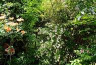 Ein Ruhepol mit 80 m² Garten - Großzügige 2-Zimmer-Gartenwohnung