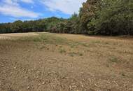 Landwirtschaftliche Grundstücke in Neuberg