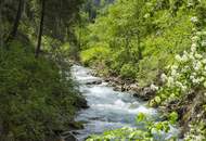 NEUER PREIS: Modernes Chalet an einem besonderen Platz - Freizeitwohnsitzwidmung