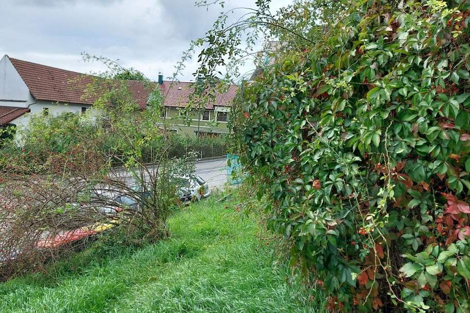 Grosses Grundstück mit bewilligtem Projekt!, Grund und Boden-kauf, 75.000,€, 3252 Melk