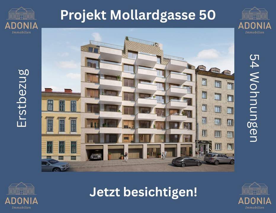 ++NEU++ hochwertige 3-Zimmer-Wohnung mitten im Herzen der Stadt (3/3)