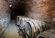 Potentialreiches Haus mit spitzen Weinkellerröhren in Groß-Schweinbarth