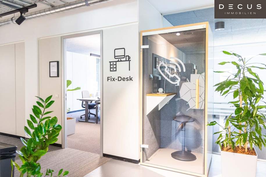 | Büroflächen und Co-working in Business-Center | LASSALLESTRASSE, Gewerbeobjekt-miete, 1020 Wien 2., Leopoldstadt