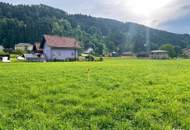 Seltene Gelegenheit! Ebenes Baugrundstück im sonnigen Ort Molzbichl, in unmittelbarer Nähe zur Bezirksstadt Spittal/Drau