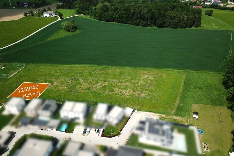 Baugrundstücke in Katsdorf / Ruhstetten – sonnige Lage, ideal für 1–3 Wohneinheiten je Parzelle, Grund und Boden-kauf, 156.250,€, 4223 Perg