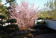 Wo Luxus auf Natur trifft - Villa mit Seele und Stil - Top Grazer Wohngegend!