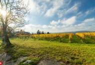 WOW! Diese Immobilie will jeder haben! 19. Bezirk - 155 m² Wohnfläche - luxuriöse Ausstattung und der schönste Blick über Wien!