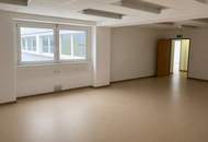 Lagerhalle 2600 m2 in Wr. Neudorf - Büros im Hauptgebäude verfügbar