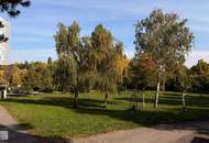 "DONAU PERLE" ERSTBEZUG! HELLE 2-ZIMMER MIT BALKON UND HERRLICHER AUSSICHT!