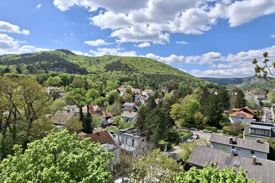 Wohnen mit Weitblick – helle 2-Zimmer-Wohnung im 6. Stock mit Loggia, Wohnung-kauf, 265.000,€, 2340 Mödling