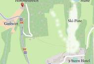 Südlage in den Alpen, Österreich: Wohnhaus mit Tourismus-Option, traumhafter Blick, Ski/Wandergebiet