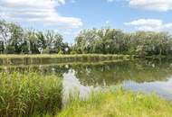 AM MÜHLWASSER - VOLLUNTERKELLERTE DOPPELHAUSHÄLFTE MIT VIELEN EXTRAS UND GROßER TERRASSE
