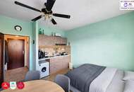 Die klassische 1-Zimmer-Wohnung "immer vermietbar"