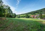 Bauerwartungsland in TOP-Lage in Stattegg