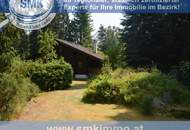 Finnisches Blockhaus-Juwel, Waldleben in absoluter Exklusivität!